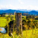 Shallow Focus Photography of Brown Wooden Pole With Grey Barb Wires