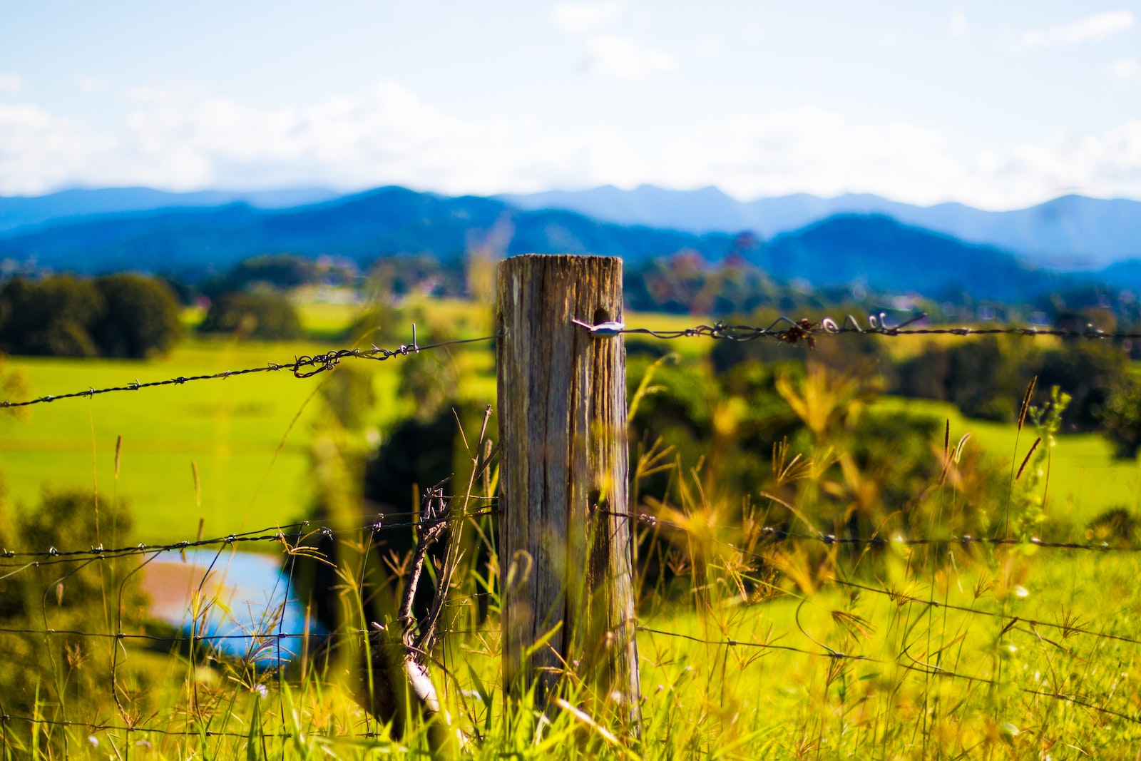 Shallow Focus Photography of Brown Wooden Pole With Grey Barb Wires