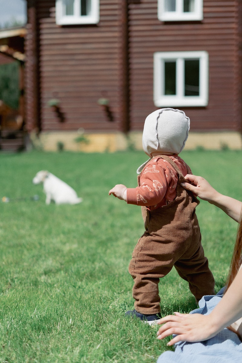 Free stock photo of affection, baby, child