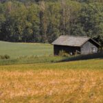 Free stock photo of agriculture, barn, country