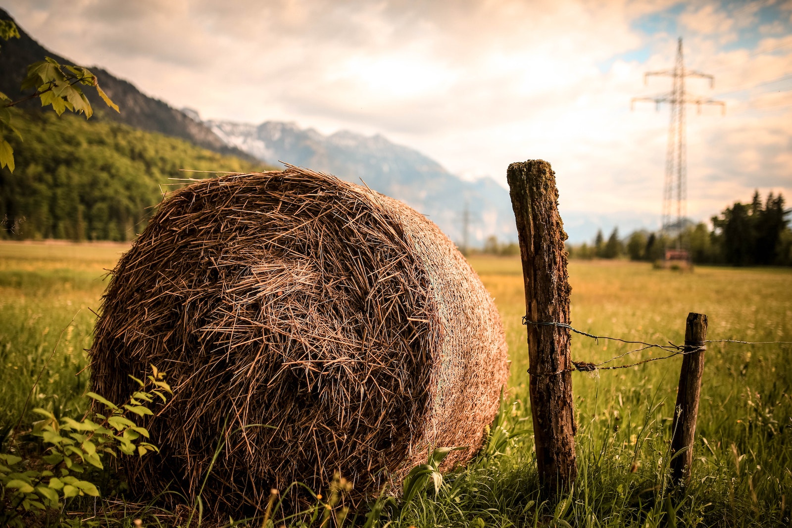 Hay Beside Brown Wood Slab