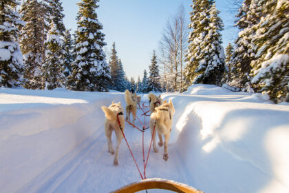 Mondial Tourisme renforce sa production sur la Laponie finlandaise