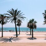 Confrontée à sa pire sécheresse depuis un siècle, Barcelone placée en état d’urgence