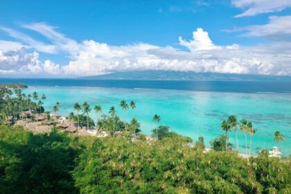 Polynésie française : nouveau record de fréquentation en 2023